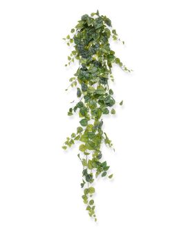 Planta de enforcamento Pictus Scindapsus Artificial 170 cm