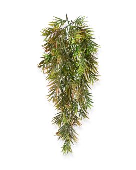 Espargo Artificial Espengeri planta de arrasto 60 cm