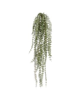 Dischidia Pendant cinzento/verde 70cm