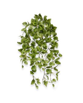 Peperomia Planta suspensa artificial variegada 50cm