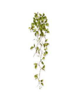 Peperomia Ramo Pendurado Artificial Variegado 80cm