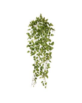 Peperomia Planta suspensa artificial variegada 90cm