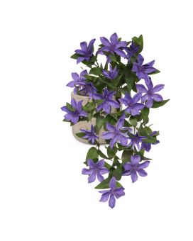 Planta suspensa artificial Clematis 60cm Azul