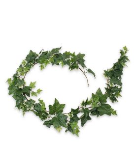 Gárgula de Hera artificial com 180 cm de verde-variegado