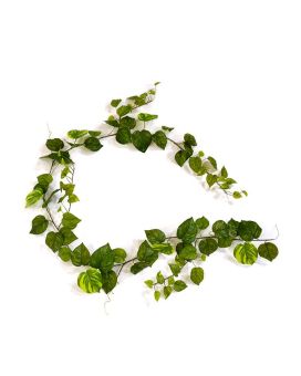 Pothos Garland artificial 180 cm varigado
