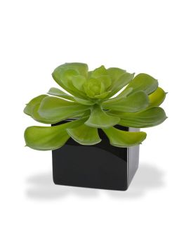 Echeveria Setosa Bouquet Artificial