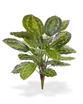 Calathea Roseopicta planta artificial com 65 cm de bouquet