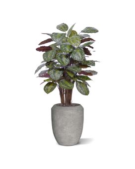Planta artificial Calathea Roseopicta 125cm vermelho