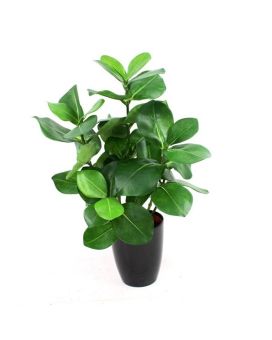 Planta artificial Clusia 40cm no vaso 10cm
