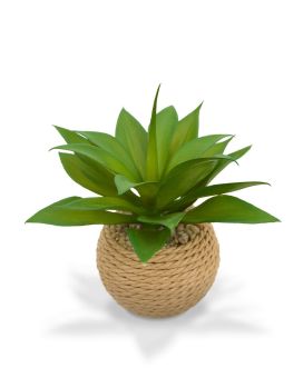 Mini Agave em jarro de corda