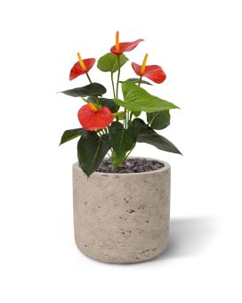 Planta artificial antúrio 40cm - vermelho