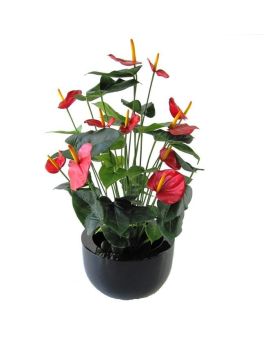 Anthurium deluxe planta artificial 80cm - vermelho