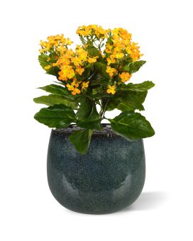 Planta artificial Kalanchoe 30cm - laranja