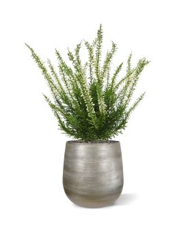 Creme artificial Erica Heather bouquet de 30 cm