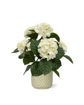 <span style="color: rgb(26, 12, 53); font-family: noto-sans, "Noto Sans", Helvetica, Arial, sans-serif;" loading="lazy"></picture>Planta artificial de Hortensia 40 cm crema em vaso</span><br>