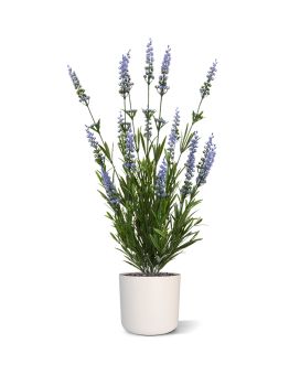 Bouquet de Lavanda Artificial 50 cm azul UV