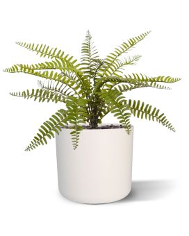 Arsenal artificial de samambaia Asplenium 35 cm