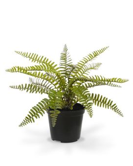 Planta artificial de samambaia asplenium 35cm
