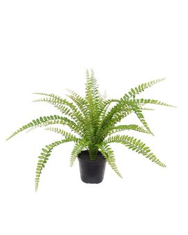 Planta artificial de samambaia asplenium 45cm