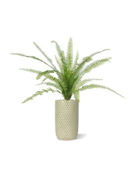 <span style="color: rgb(26, 12, 53); font-family: noto-sans, "Noto Sans", Helvetica, Arial, sans-serif;" loading="lazy"></picture>Planta artificial de samambaia Asplenium 75 cm em vaso de 12 cm </span>
