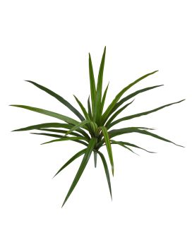 Planta Artificial Draceana Marginata 40cm