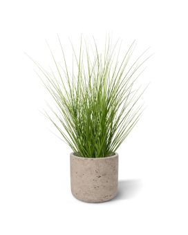 Planta de relva artificial Promo 60cm