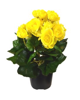Begonia planta artificial em vaso 20cm - amarelo