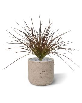 Planta de Relva Artificial Larga 40cm - Bourgogne
