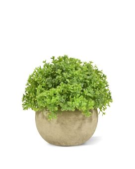 Planta artificial Mini Buxus em vaso 14cm - verde