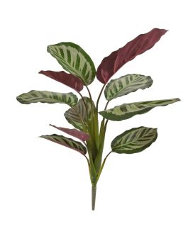 Calathea vermelha Roseopicta planta artificial de arbusto 45cm