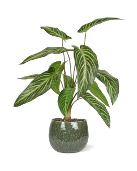 Caladium lindenii planta artificial 50cm