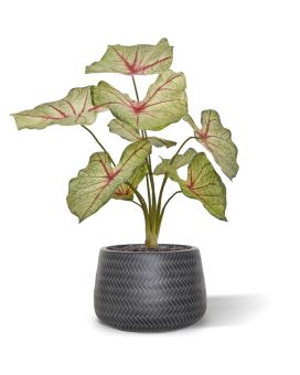 Caladium artificiais bouquet de rainha branca 40cm
