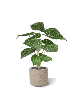 Planta artificiais Anthurium Clarinervium 35cm em vaso