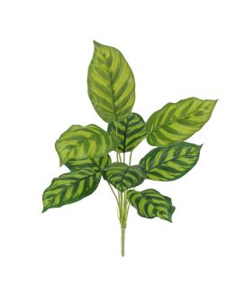 Planta Calathea Maranta Artificiais 40cm
