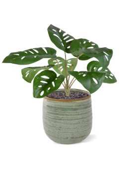 Monstera Adonsonii artificiel bouquet 30cm