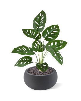 Monstera Adonsonii planta artificiais 40cm