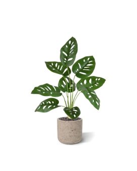 Monstera Adonsonii planta artificiais 40cm em vaso