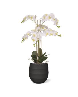 Orquídea Phalaenopsis Artificial 95cm branco