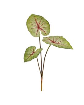Planta artificial Caladium White Queen 60cm
