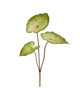 Planta artificial Caladium Aaron 60cm