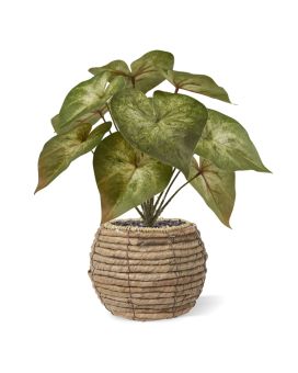 Planta artificial Syngonium Podophyllum 28cm