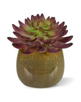 Cacto artificial Echeveria Burgundy 15cm