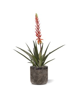Aloé Vera Planta artificial 75cm vermelho