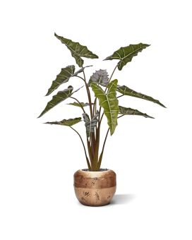 Planta Alocasia Sarian artificiais 140cm