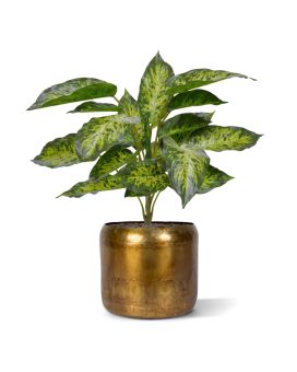Planta artificial Aglaonema 40cm