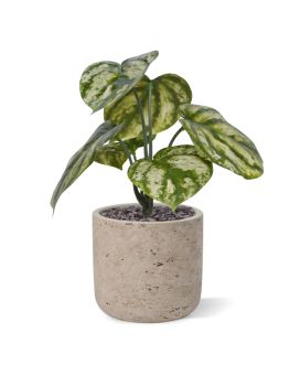 Planta artificial Peperomia Gold Dust 20cm