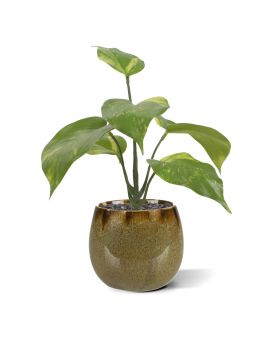 Planta artificial Pothos 20cm