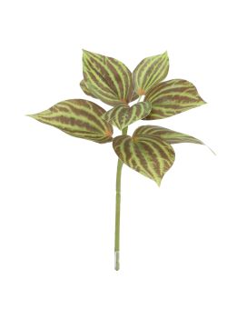 Planta de Peperomia Artificiais Verde-Marron 25cm