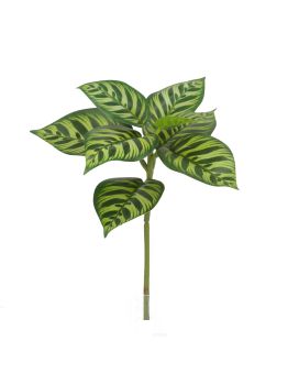 Planta Calathea Makoyana Artificiais 25cm variegada