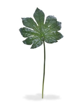 Fatsia Artificial XL deixam 81 cm